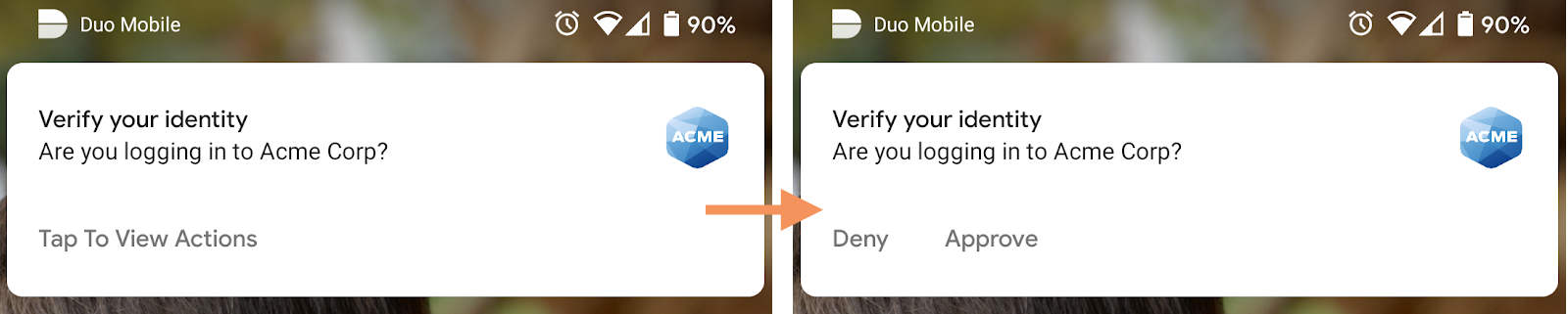 Verify your identity