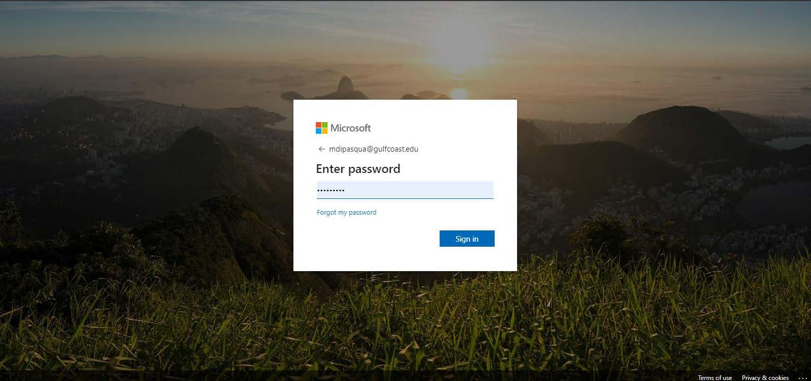 Enter password