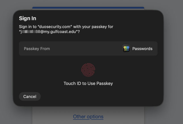 Touch ID to Use Passkey