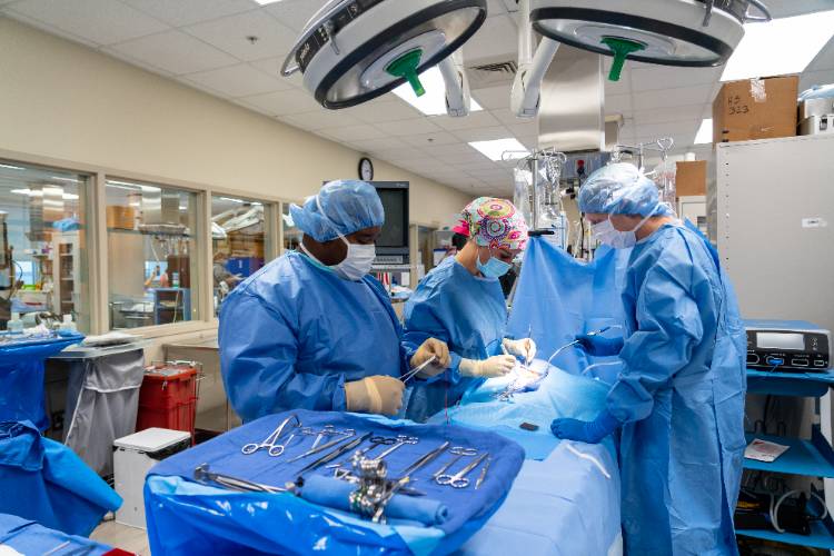 Gulf Coast State College Surgical First Assisting College