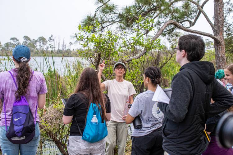 Gulf Coast State College Biology Option Aa 