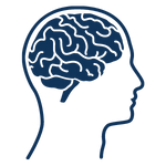 side profile of a persons head and brain