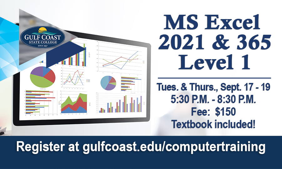 MS Excel 2021 & 365 Level 1