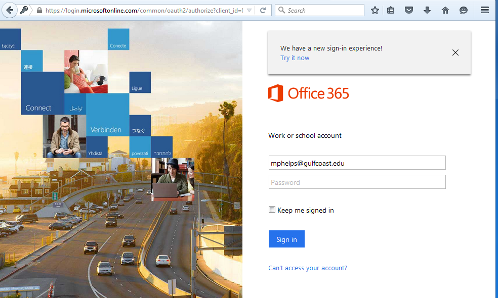 export office 365 contacts in web app